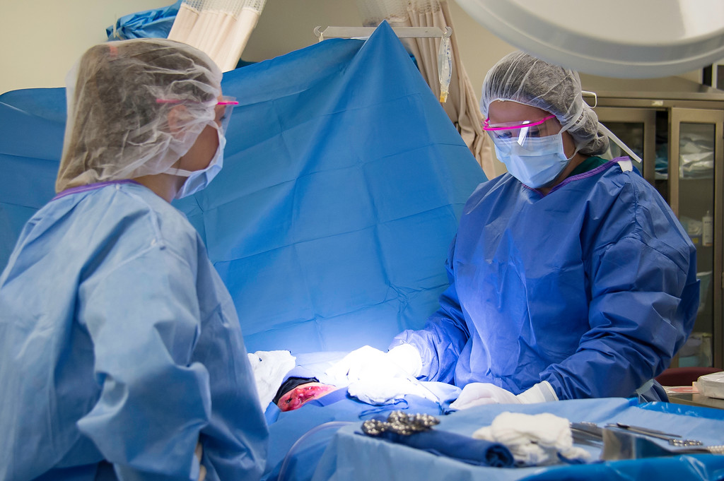 Vincennes University leader in healthcare education