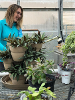 A geoscience student with a variety of plants