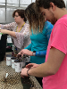 Geoscience students putting seeds into cups 