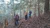 Students in a hill in a pine forest