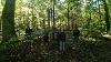 Students in a green forest