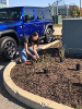A geoscience student planting something next to a Jeep