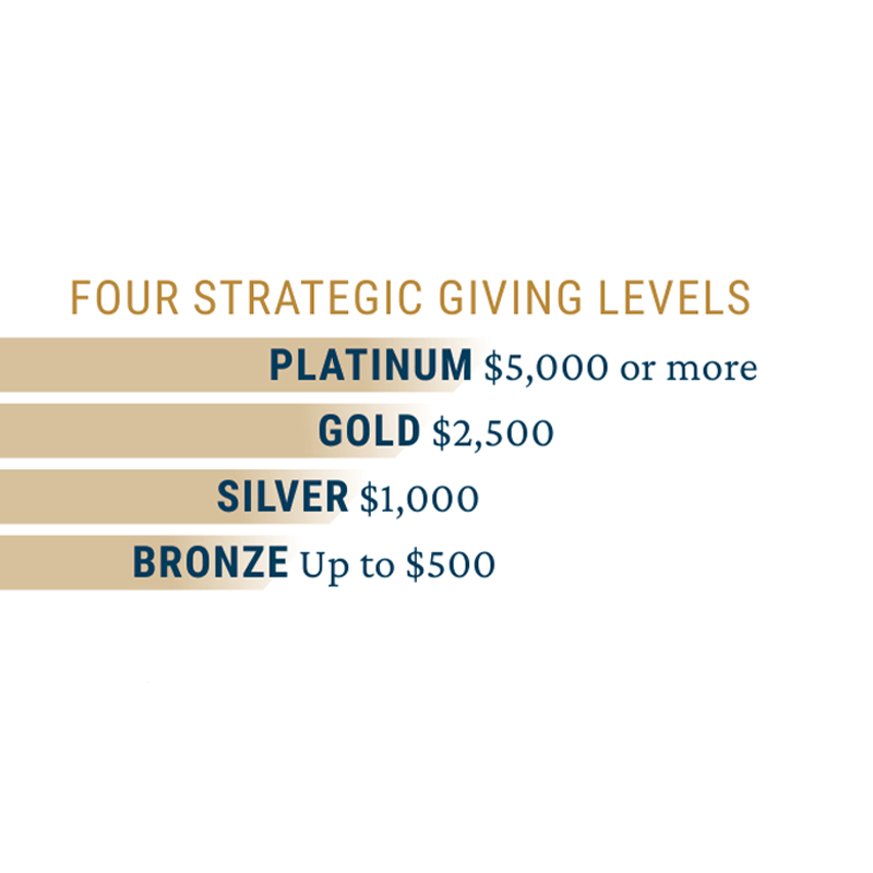 Graphic lists four strategic giving levels in a simple chart: Platinum, $5,000 or more; Gold, $2,500; Silver, $1,000; Bronze, up to $500.