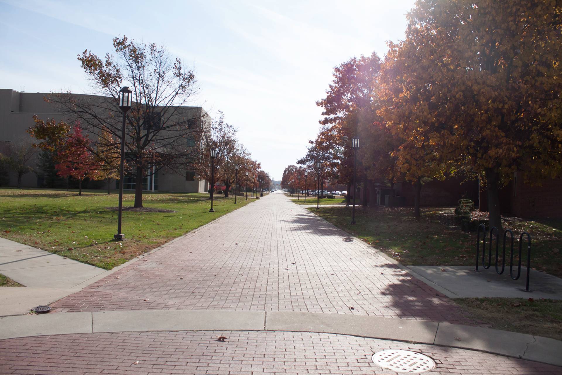 A long, straight brick walkway stretches into the distance on a college campus on a clear, sunny autumn day. The walkway is lined with trees in varying stages of changing colors, from green to red and brown. Lights are evenly spaced on either side of the brick pathway. A bike rack can be seen on the right.