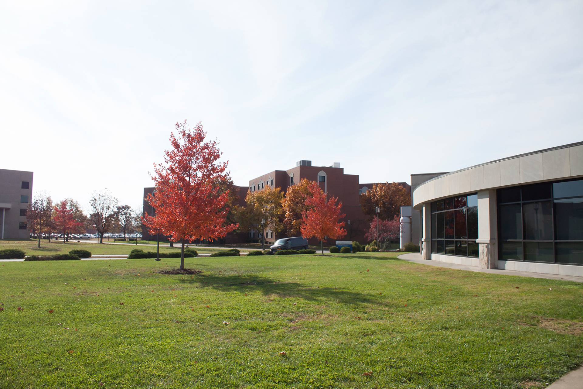 A view of a college campus featuring a green lawn in the foreground dotted with fallen leaves. Several trees with red fall foliage are scattered across the lawn. In the background are various campus buildings including a brick building, and a building with a curved facade of large windows. The sky above is bright with some clouds.