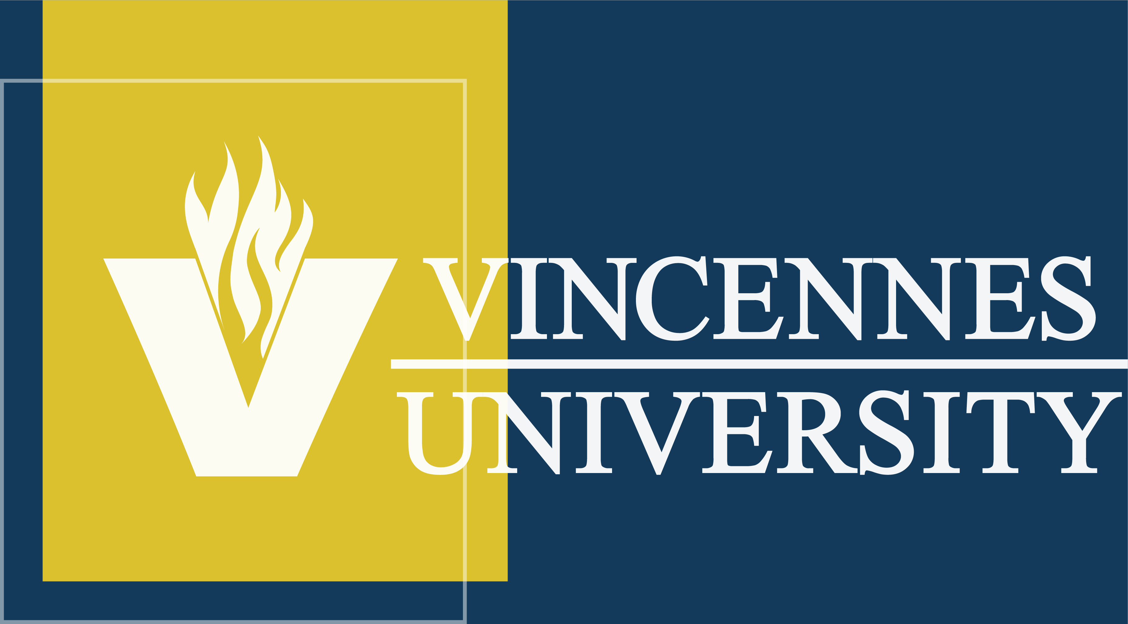 VU logo in gold and blue
