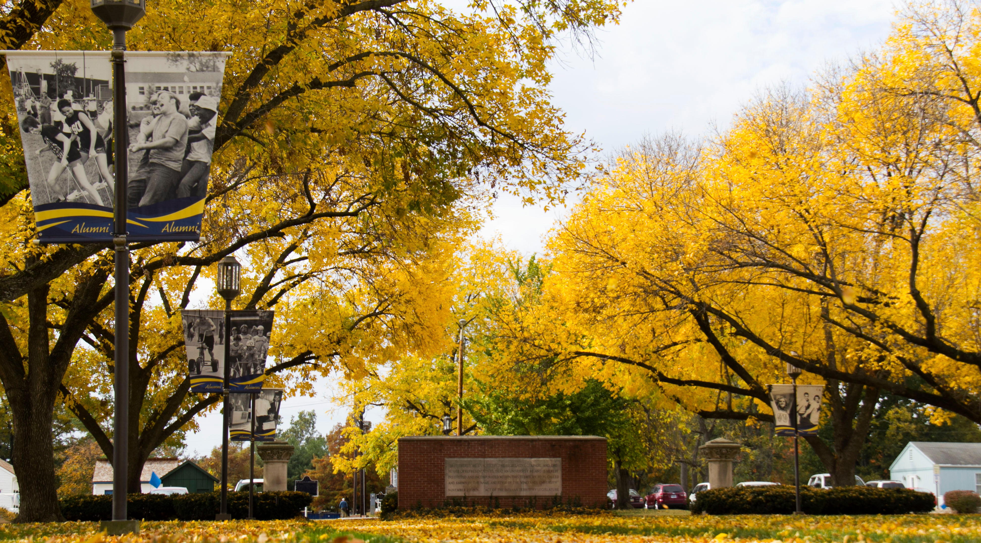 Trees with yellow leaves on the Vincennes Campus during the Fall season