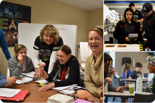 Alumni mentoring student success